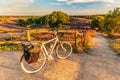 Electric bicycle in Dutch national park The Veluwe