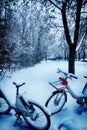 electric bikes under winter snowfall