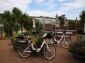 Electric Bikes on Waiheke Vineyard