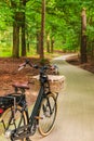 Electric black cargo bicycle with basket in Dutch national park The Veluwe Royalty Free Stock Photo