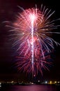 Electric Blooms Fireworks Royalty Free Stock Photo