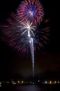 Electric Blooms Fireworks Royalty Free Stock Photo