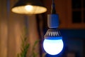 Electric blue light bulb hang from ceiling, illuminating event Royalty Free Stock Photo