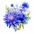 Electric Blue Watercolor Chrysanthemum Bouquet Clipart Royalty Free Stock Photo