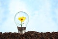 Electric bulb on earth with flower Royalty Free Stock Photo