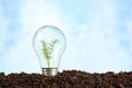 Electric bulb on earth with plant Royalty Free Stock Photo