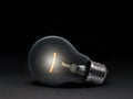 The electric bulb is glowing on a dark background. The concept is a successful idea Royalty Free Stock Photo