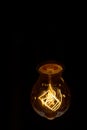 Electric bulb. Royalty Free Stock Photo