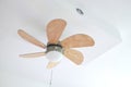 Electric ceiling fan with lamp