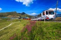 Electric cogwheel tourist train on the steep railway, Grindelwald, Switzerland