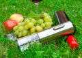 Electric corkscrew on the grass. Near the cork, aerator and a bottle of wine. In the background are grapes, fruits and a glass of Royalty Free Stock Photo