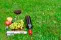 An electric corkscrew lies on the grass. Near the cork and aerator for wine. In the background are grapes, fruits and a glass of Royalty Free Stock Photo