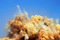 Detonator blasting on the construction site Royalty Free Stock Photo