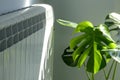 Electric domestic ecological heating or radiator with green plant.