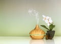 Electric Essential oils Aroma diffuser, oil bottles and flowers on green gradient surface with reflection Royalty Free Stock Photo