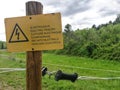 electric fence danger sign Royalty Free Stock Photo