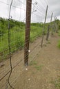 Electric fence of Siyakwemukela Hluhluwe Umfolozi Game Reserve, South Africa