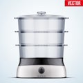 Electric Food Steamer Royalty Free Stock Photo