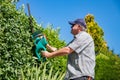 Electric gardening tools. A professional gardener cuts a hedge with an electric hedge trimmer. Gardening and cutting activities