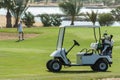 Electric golf buggy on a fairway Royalty Free Stock Photo
