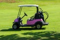 Electric golf buggy on the fairway Royalty Free Stock Photo