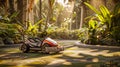 Electric golf kart in the middle of tropical park