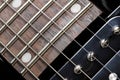 Electric guitar close-up. Neck and humbucker picku