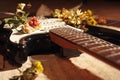 Electric guitar, dried flowers and rare notes closeup. Selective focus Royalty Free Stock Photo