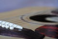 Electric guitar Fretboard closeup macro shot. Guitar pegs on a six-string guitar. musical instrument Royalty Free Stock Photo