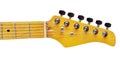 Electric Guitar Fretboard