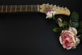 Electric guitar neck decorated with roses Royalty Free Stock Photo
