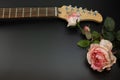 Electric guitar neck  with roses Royalty Free Stock Photo