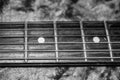 Electric Guitar Neck and fret board Royalty Free Stock Photo