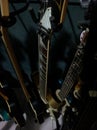 Electric guitars placed in a row in a display case Royalty Free Stock Photo