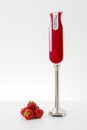 Electric hand blender Royalty Free Stock Photo