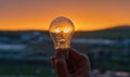 Electric incandescent lamp in hand against the background of a sunny sunset Royalty Free Stock Photo