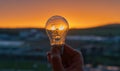 Electric incandescent lamp in hand against the background of a sunny sunset. Royalty Free Stock Photo