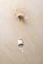 Electric lamp hanging from reapair ceiling Royalty Free Stock Photo