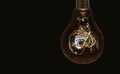 Electric light bulb on the dark background Royalty Free Stock Photo