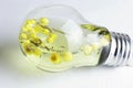 Electric light bulb and flower Royalty Free Stock Photo