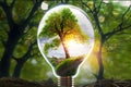 An electric light bulb on the green grass and a tree inside it. Generative AI. Sunlight in nature. energy saving concept Royalty Free Stock Photo