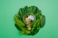 Electric light bulb and green leaves on a green background.Alternative natural energy sources.Natural renewable clean Royalty Free Stock Photo