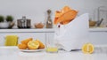 Mincer machine with citrus juicer in kitchen. White electric mincer machines for minced meat per minute, make sausages