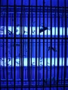 electric mosquito and insect zapper with blue lights turned on Royalty Free Stock Photo