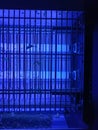 electric mosquito and insect zapper with blue lights turned on