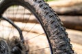 Electric mountain bike rear wheel in the forest with long logs in background Royalty Free Stock Photo