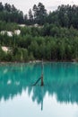 Electric pillar sticking out of the middle of a pond