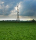 Electric pilon in a green field Royalty Free Stock Photo