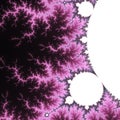 Electric pink mandelbrot fractal formula Royalty Free Stock Photo