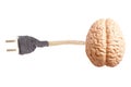 Electric plug with human brain anatomical model